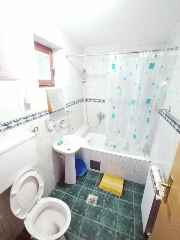 Vila Zoran Zlatibor Kültér fotó